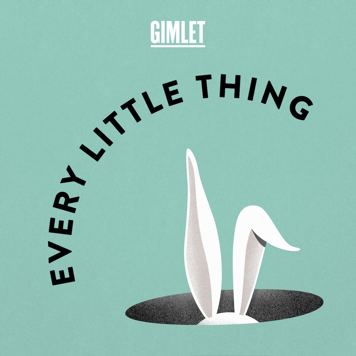 The cover image for the podcast Every Little Thing.