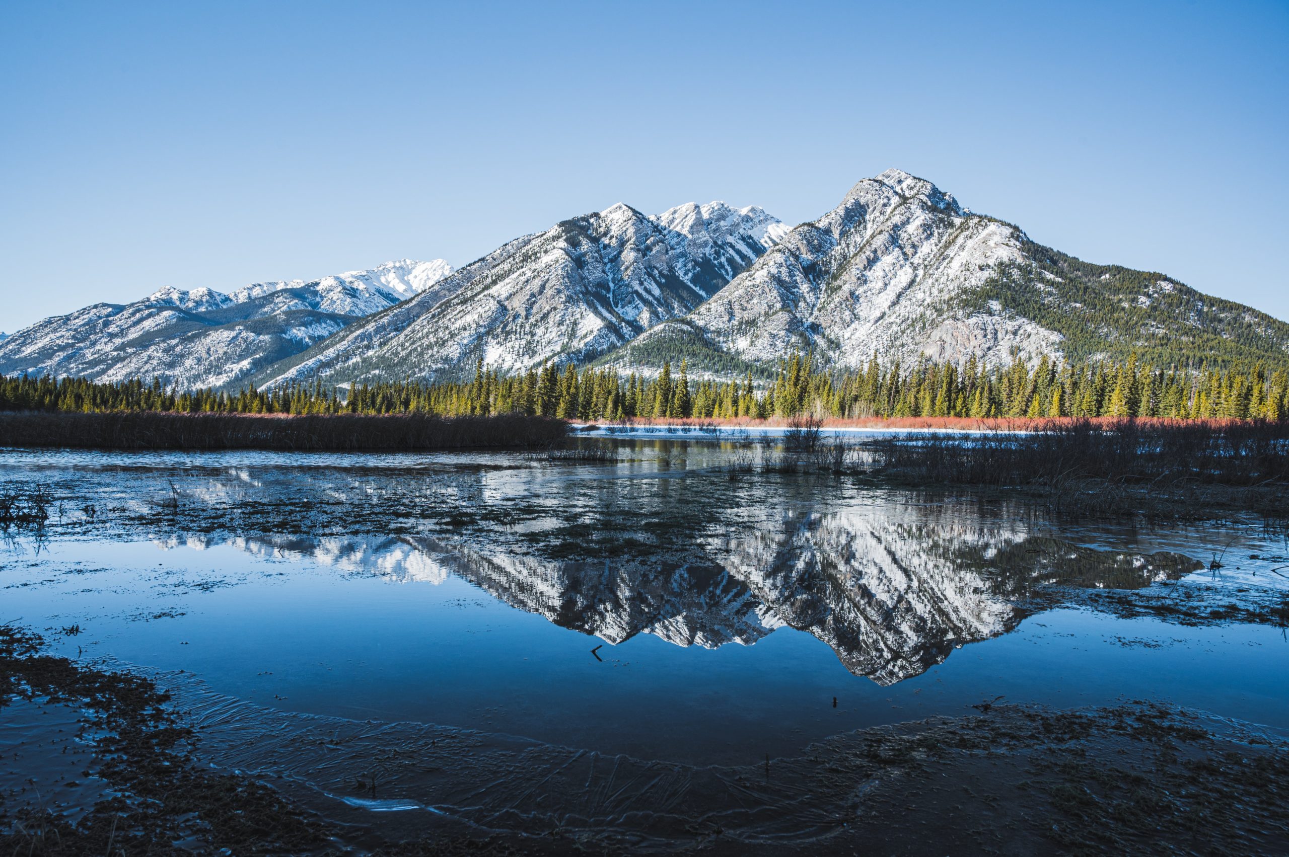 View of lake, mountain reflection, trees on shoreline and snowy mountain