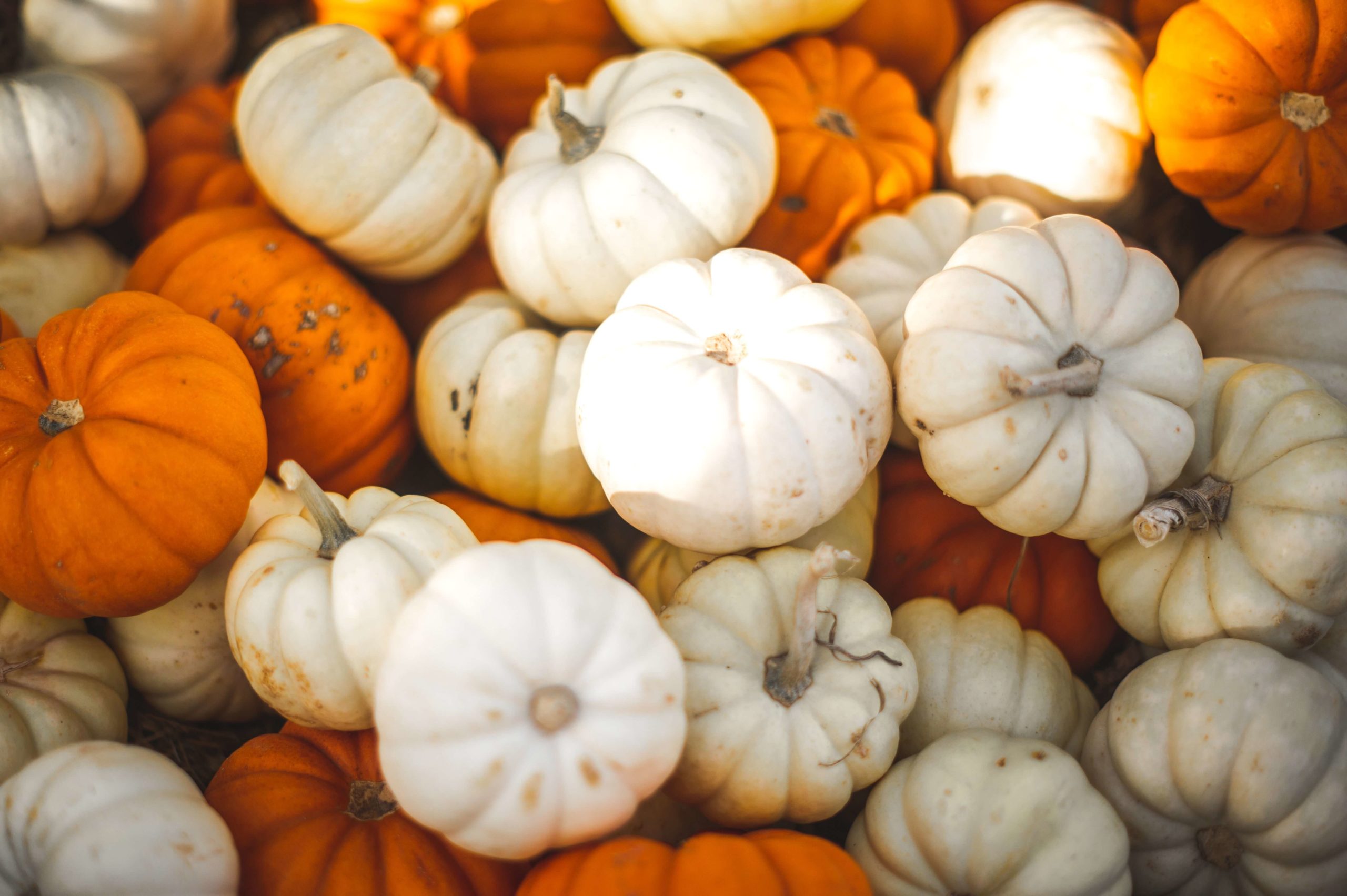 Make the Most of Fall with These 5 Activities | Lifestyle | Laura Blog